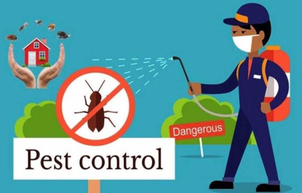 deccan-pest-control-solutions-visakhapatnam-0minioypo9